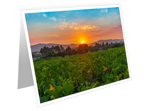 as a Greeting Card
