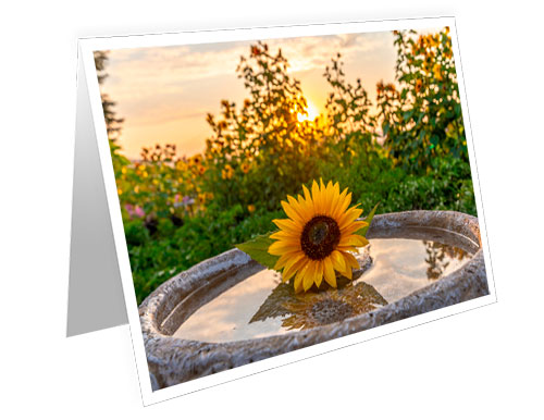 as a Greeting Card