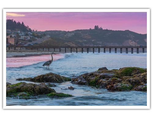 as a Fine Art Print